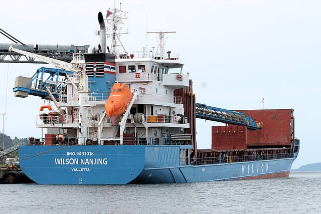 Wilson Nanjing