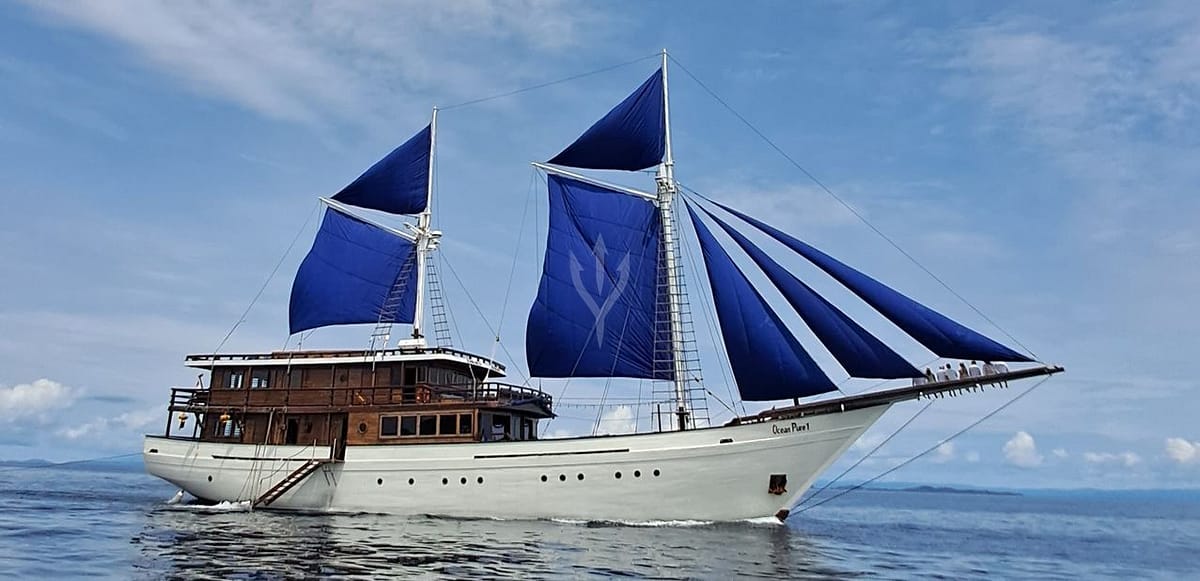 Ocean Pure 1